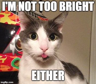 I'M NOT TOO BRIGHT EITHER | made w/ Imgflip meme maker