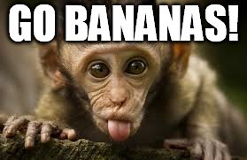 Disrespectful Monkey | GO BANANAS! | image tagged in banana,monkey,no authority | made w/ Imgflip meme maker