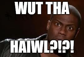 Kevin Hart | WUT THA; HAIWL?!?! | image tagged in memes,kevin hart the hell | made w/ Imgflip meme maker