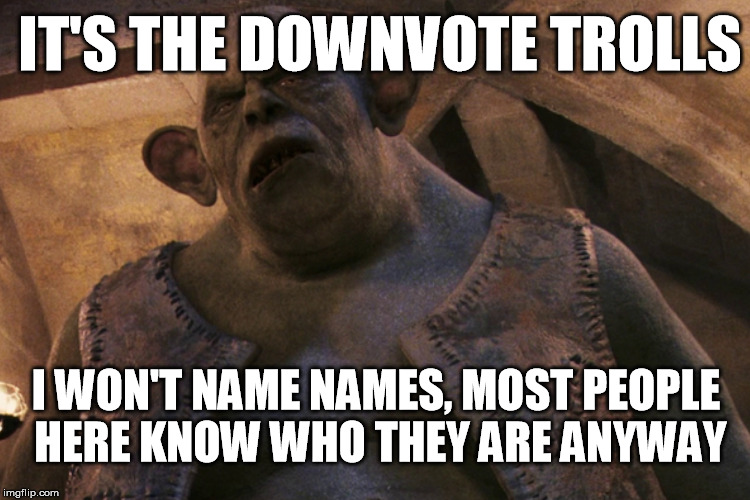 IT'S THE DOWNVOTE TROLLS I WON'T NAME NAMES, MOST PEOPLE HERE KNOW WHO THEY ARE ANYWAY | made w/ Imgflip meme maker