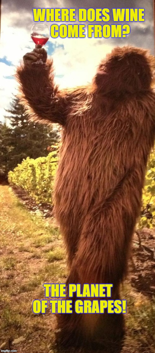 sasquatch with wine | WHERE DOES WINE COME FROM? THE PLANET OF THE GRAPES! | image tagged in sasquatch with wine | made w/ Imgflip meme maker