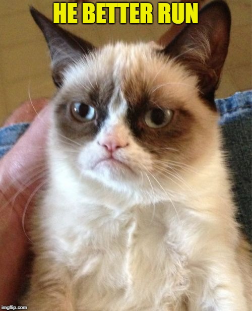 Grumpy Cat Meme | HE BETTER RUN | image tagged in memes,grumpy cat | made w/ Imgflip meme maker