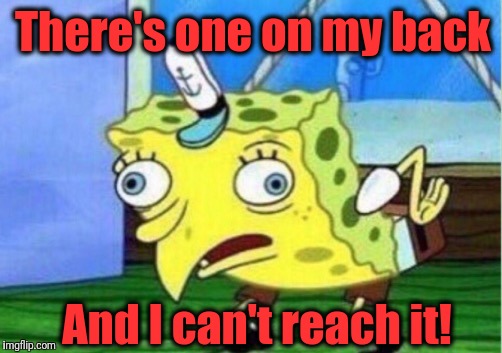 Mocking Spongebob Meme | There's one on my back And I can't reach it! | image tagged in memes,mocking spongebob | made w/ Imgflip meme maker