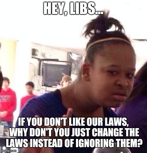 Just saying | HEY, LIBS... IF YOU DON'T LIKE OUR LAWS, WHY DON'T YOU JUST CHANGE THE LAWS INSTEAD OF IGNORING THEM? | image tagged in memes,black girl wat | made w/ Imgflip meme maker