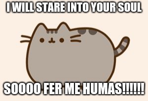 pusheen cat | I WILL STARE INTO YOUR SOUL; SOOOO FER ME HUMAS!!!!!! | image tagged in pusheen cat | made w/ Imgflip meme maker
