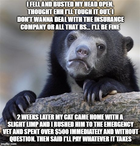 Confession Bear Meme | I FELL AND BUSTED MY HEAD OPEN. THOUGHT EHH I'LL TOUGH IT OUT, I DON'T WANNA DEAL WITH THE INSURANCE COMPANY OR ALL THAT BS... I'LL BE FINE; 2 WEEKS LATER MY CAT CAME HOME WITH A SLIGHT LIMP AND I RUSHED HIM TO THE EMERGENCY VET AND SPENT OVER $500 IMMEDIATELY AND WITHOUT QUESTION. THEN SAID I'LL PAY WHATEVER IT TAKES | image tagged in memes,confession bear | made w/ Imgflip meme maker