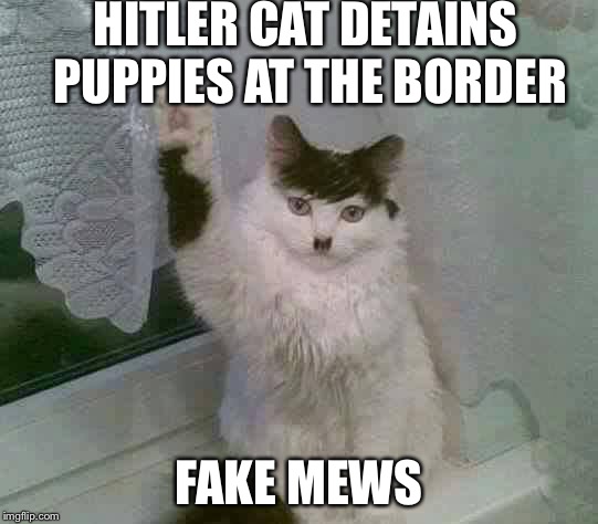 Hitler Cat | HITLER CAT DETAINS PUPPIES AT THE BORDER; FAKE MEWS | image tagged in hitler cat | made w/ Imgflip meme maker