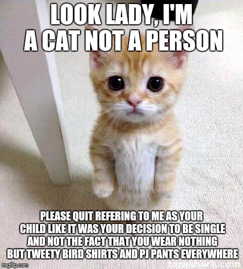 Reality Cat hits hard | LOOK LADY, I'M A CAT NOT A PERSON; PLEASE QUIT REFERING TO ME AS YOUR CHILD LIKE IT WAS YOUR DECISION TO BE SINGLE AND NOT THE FACT THAT YOU WEAR NOTHING BUT TWEETY BIRD SHIRTS AND PJ PANTS EVERYWHERE | image tagged in memes,cute cat,single,cat lady,childless fatty | made w/ Imgflip meme maker