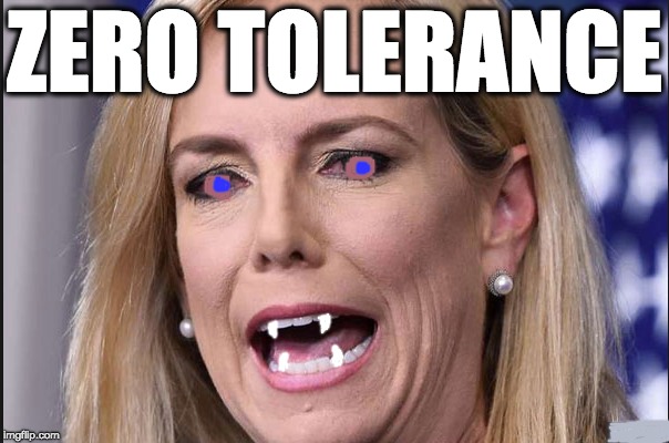 ZERO TOLERANCE | image tagged in memes | made w/ Imgflip meme maker