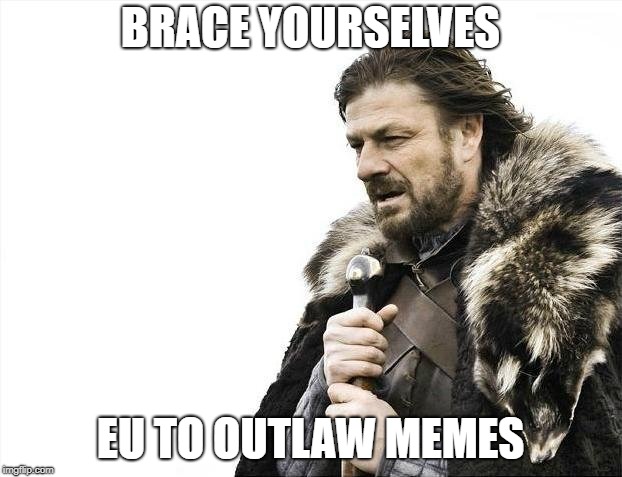 Brace Yourselves X is Coming Meme | BRACE YOURSELVES; EU TO OUTLAW MEMES | image tagged in memes,brace yourselves x is coming | made w/ Imgflip meme maker