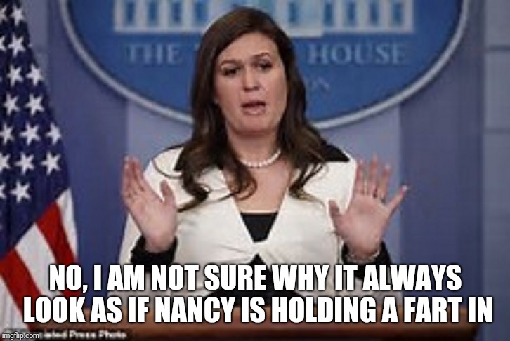 NO, I AM NOT SURE WHY IT ALWAYS LOOK AS IF NANCY IS HOLDING A FART IN | made w/ Imgflip meme maker