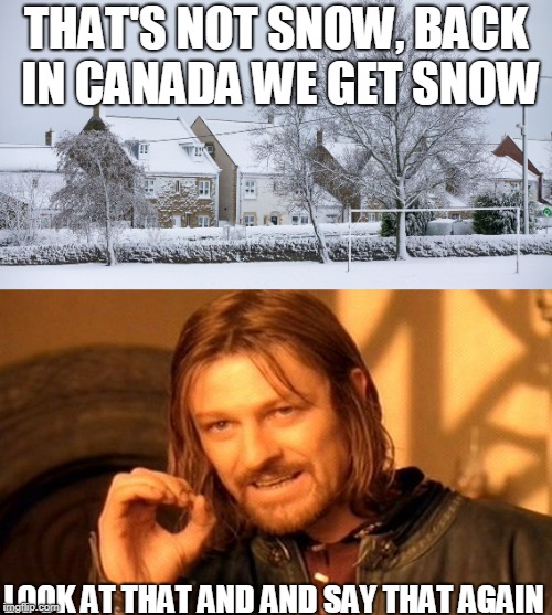 People that do this. | THAT'S NOT SNOW, BACK IN CANADA WE GET SNOW; LOOK AT THAT AND AND SAY THAT AGAIN | image tagged in funny,frustrated,dumb people | made w/ Imgflip meme maker