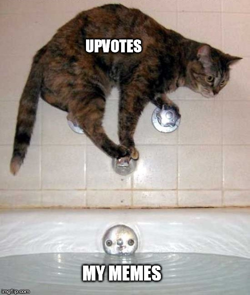 It´s a catastrophy! | UPVOTES; MY MEMES | image tagged in cat water upvote meme | made w/ Imgflip meme maker