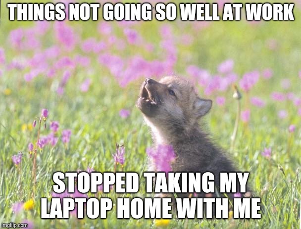 Baby Insanity Wolf Meme | THINGS NOT GOING SO WELL AT WORK; STOPPED TAKING MY LAPTOP HOME WITH ME | image tagged in memes,baby insanity wolf,AdviceAnimals | made w/ Imgflip meme maker