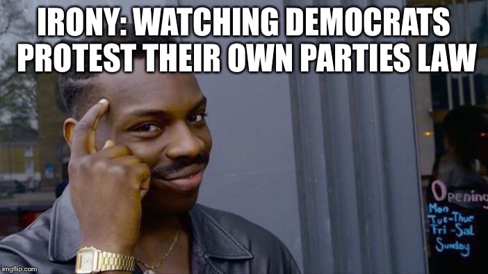 Roll Safe Think About It Meme | IRONY: WATCHING DEMOCRATS PROTEST THEIR OWN PARTIES LAW | image tagged in memes,roll safe think about it | made w/ Imgflip meme maker