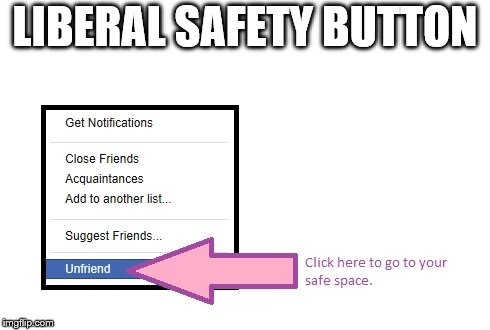 LIBERAL SAFETY BUTTON | image tagged in liberals | made w/ Imgflip meme maker