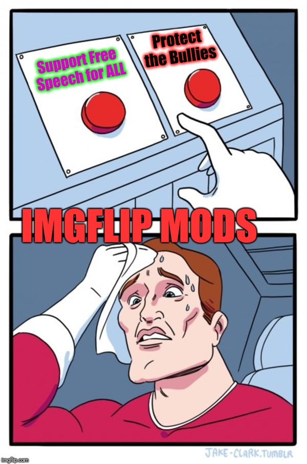 Two Buttons Meme | Support Free Speech for ALL Protect the Bullies IMGFLIP MODS | image tagged in memes,two buttons | made w/ Imgflip meme maker