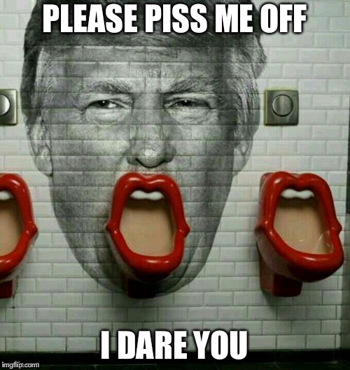 Donald mad | PLEASE PISS ME OFF; I DARE YOU | image tagged in donald trump | made w/ Imgflip meme maker