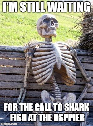 Waiting Skeleton Meme | I'M STILL WAITING; FOR THE CALL TO SHARK FISH AT THE GSPPIER | image tagged in memes,waiting skeleton | made w/ Imgflip meme maker