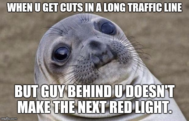 Awkward Seal | WHEN U GET CUTS IN A LONG TRAFFIC LINE; BUT GUY BEHIND U DOESN'T MAKE THE NEXT RED LIGHT. | image tagged in awkward seal | made w/ Imgflip meme maker