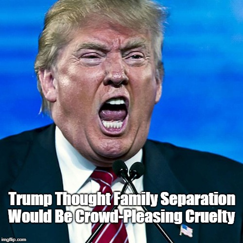 Trump Thought Family Separation Would Be Crowd-Pleasing Cruelty | made w/ Imgflip meme maker