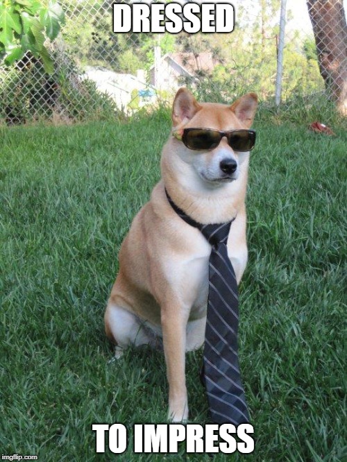 Business doge | DRESSED; TO IMPRESS | image tagged in business doge | made w/ Imgflip meme maker
