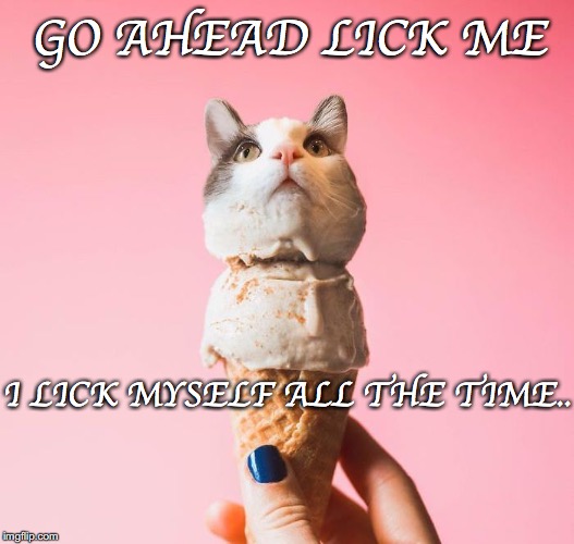 Go Ahead.... | GO AHEAD LICK ME; I LICK MYSELF ALL THE TIME.. | image tagged in cats in food,lick,ice cream,cat,ice cream cone | made w/ Imgflip meme maker