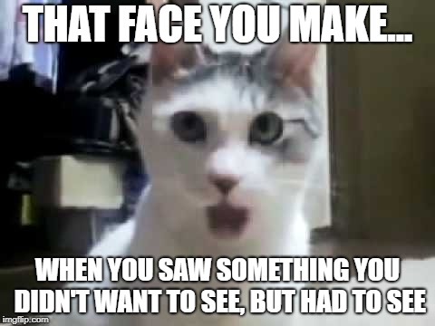 THAT FACE YOU MAKE... WHEN YOU SAW SOMETHING YOU DIDN'T WANT TO SEE, BUT HAD TO SEE | image tagged in shocked cat | made w/ Imgflip meme maker