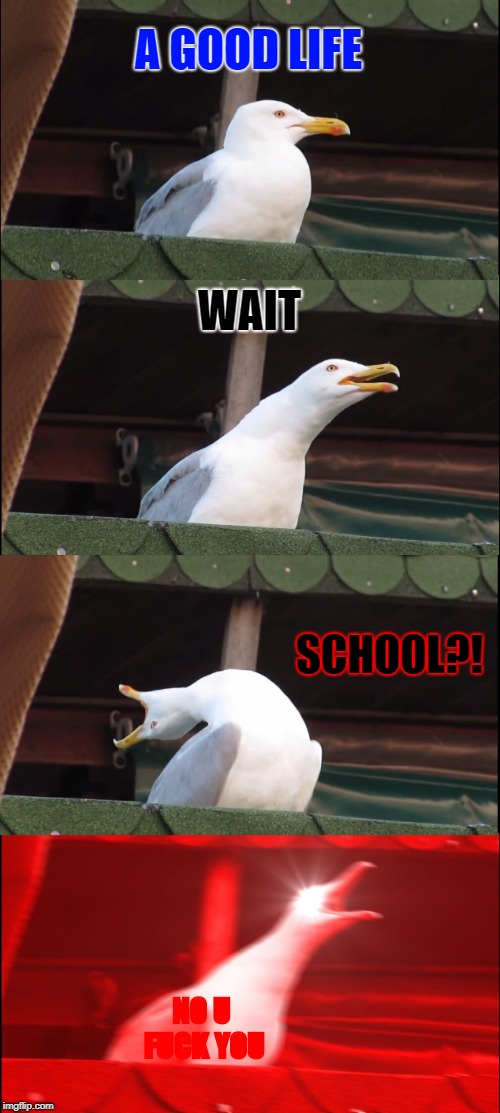 Inhaling Seagull Meme | A GOOD LIFE WAIT SCHOOL?! NO U F**K YOU | image tagged in memes,inhaling seagull | made w/ Imgflip meme maker