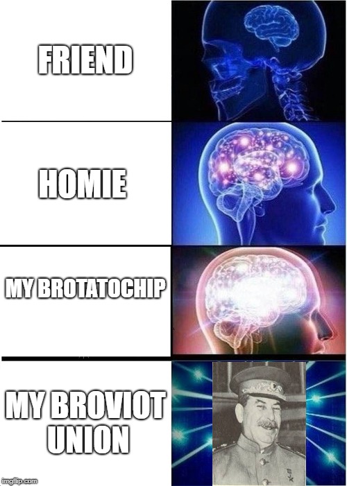 How Friendships Work | FRIEND; HOMIE; MY BROTATOCHIP; MY BROVIOT UNION | image tagged in memes,expanding brain,friends,funny,soviet union | made w/ Imgflip meme maker
