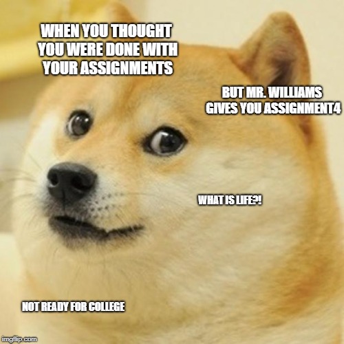 Doge | WHEN YOU THOUGHT YOU WERE DONE WITH YOUR ASSIGNMENTS; BUT MR. WILLIAMS GIVES YOU ASSIGNMENT4; WHAT IS LIFE?! NOT READY FOR COLLEGE | image tagged in memes,doge | made w/ Imgflip meme maker