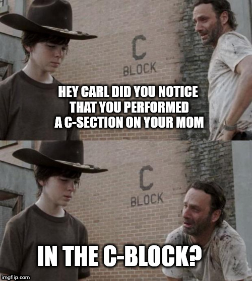 Did ya Carl? | HEY CARL DID YOU NOTICE THAT YOU PERFORMED A C-SECTION ON YOUR MOM; IN THE C-BLOCK? | image tagged in memes,rick and carl | made w/ Imgflip meme maker