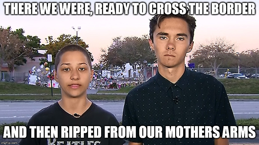 First Hand Experience | THERE WE WERE, READY TO CROSS THE BORDER; AND THEN RIPPED FROM OUR MOTHERS ARMS | image tagged in political,david hogg,president trump,memes,funny memes | made w/ Imgflip meme maker