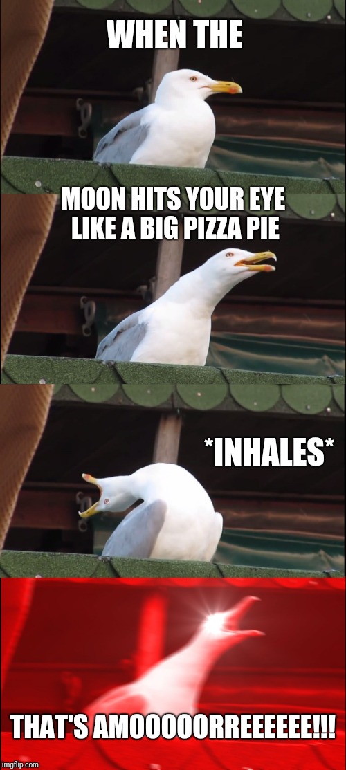 Inhaling Seagull Meme | WHEN THE; MOON HITS YOUR EYE LIKE A BIG PIZZA PIE; *INHALES*; THAT'S AMOOOOORREEEEEE!!! | image tagged in memes,inhaling seagull | made w/ Imgflip meme maker