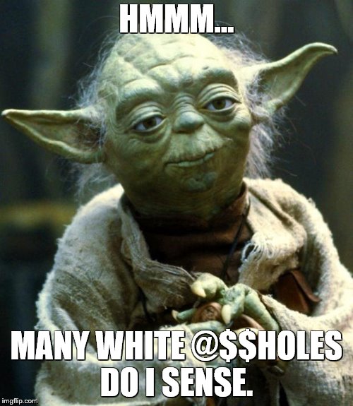 Star Wars Yoda | HMMM... MANY WHITE @$$HOLES DO I SENSE. | image tagged in memes,star wars yoda | made w/ Imgflip meme maker