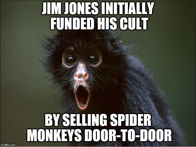 Jonestown's Humble Roots | JIM JONES INITIALLY FUNDED HIS CULT; BY SELLING SPIDER MONKEYS DOOR-TO-DOOR | image tagged in cult,history,jonestown,jim jones | made w/ Imgflip meme maker