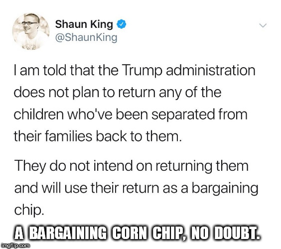 Bargaining Corn Chips | A  BARGAINING  CORN  CHIP,  NO  DOUBT. | image tagged in immigration,illegal immigration | made w/ Imgflip meme maker