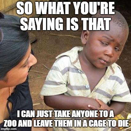 Third World Skeptical Kid Meme | SO WHAT YOU'RE SAYING IS THAT; I CAN JUST TAKE ANYONE TO A ZOO AND LEAVE THEM IN A CAGE TO DIE | image tagged in memes,third world skeptical kid | made w/ Imgflip meme maker