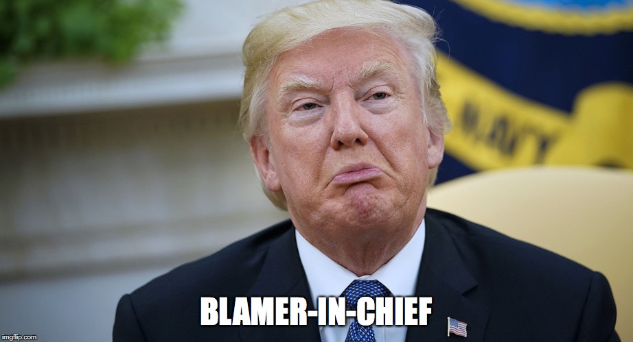 Blamer-in-Chief | BLAMER-IN-CHIEF | image tagged in donald trump | made w/ Imgflip meme maker
