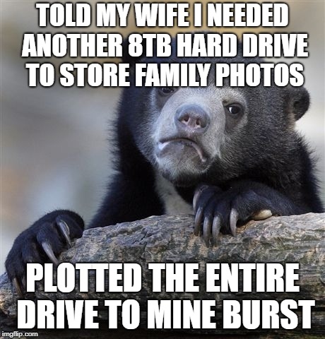 Confession Bear Meme | TOLD MY WIFE I NEEDED ANOTHER 8TB HARD DRIVE TO STORE FAMILY PHOTOS; PLOTTED THE ENTIRE DRIVE TO MINE BURST | image tagged in memes,confession bear | made w/ Imgflip meme maker