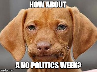 Ya couldn't just take me to the Dog Stop | HOW ABOUT; A NO POLITICS WEEK? | image tagged in ya couldn't just take me to the dog stop | made w/ Imgflip meme maker
