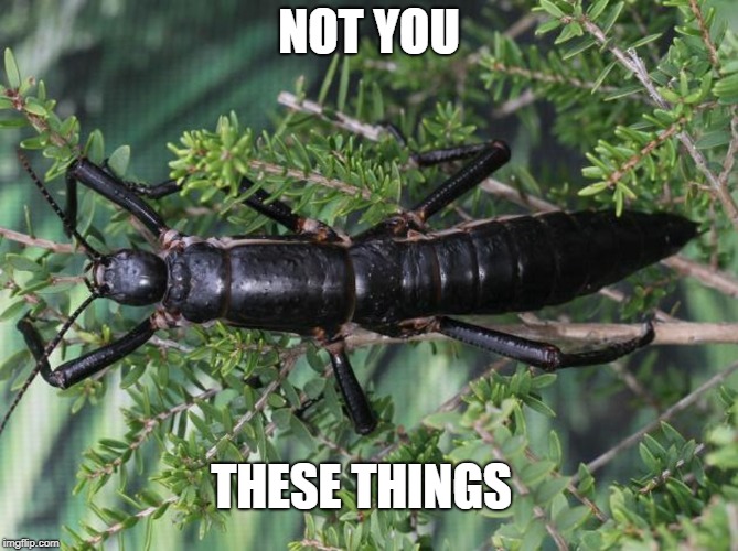NOT YOU THESE THINGS | made w/ Imgflip meme maker