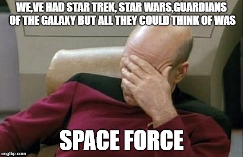 Captain Picard Facepalm Meme | WE,VE HAD STAR TREK, STAR WARS,GUARDIANS OF THE GALAXY BUT ALL THEY COULD THINK OF WAS; SPACE FORCE | image tagged in memes,captain picard facepalm | made w/ Imgflip meme maker