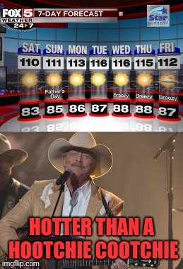 Alan Jackson summer | HOTTER THAN A HOOTCHIE COOTCHIE | image tagged in memes,funny,dank,alan jackson,summer | made w/ Imgflip meme maker