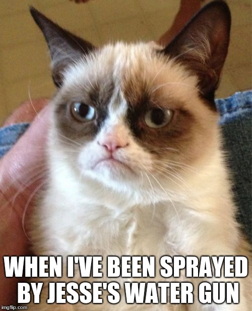 Grumpy Cat Meme | WHEN I'VE BEEN SPRAYED BY JESSE'S WATER GUN | image tagged in memes,grumpy cat | made w/ Imgflip meme maker