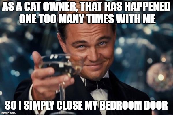 Leonardo Dicaprio Cheers Meme | AS A CAT OWNER, THAT HAS HAPPENED ONE TOO MANY TIMES WITH ME SO I SIMPLY CLOSE MY BEDROOM DOOR | image tagged in memes,leonardo dicaprio cheers | made w/ Imgflip meme maker