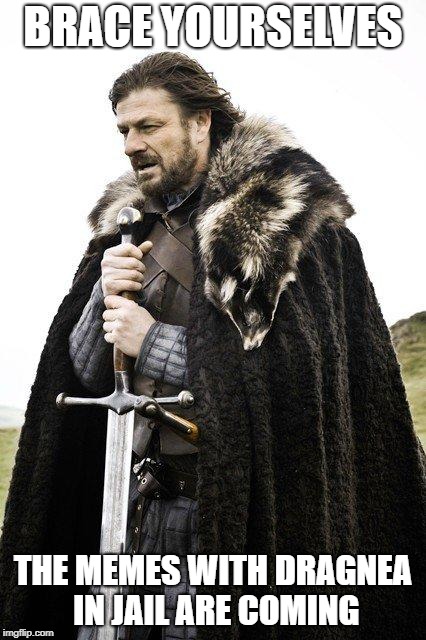Brace Yourself | BRACE YOURSELVES; THE MEMES WITH DRAGNEA IN JAIL ARE COMING | image tagged in brace yourself | made w/ Imgflip meme maker