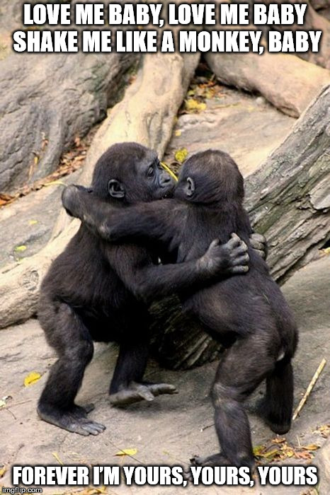 DMB Shake Me Like A Monkey | LOVE ME BABY, LOVE ME BABY SHAKE ME LIKE A MONKEY, BABY; FOREVER I’M YOURS, YOURS, YOURS | image tagged in dmb,dave matthews band,chimp,shake me like a monkey,love,kiss | made w/ Imgflip meme maker