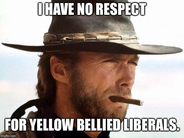 I have no respect for yellow bellied liberals. | I HAVE NO RESPECT; FOR YELLOW BELLIED LIBERALS. | image tagged in clint eastwood,memes,politics,conservative,funny | made w/ Imgflip meme maker