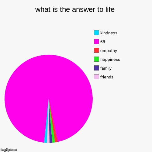 what is the answer to life | friends, family, happiness, empathy , 69, kindness | image tagged in funny,pie charts | made w/ Imgflip chart maker
